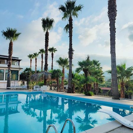 Bed and Breakfast Palm House Ламеция-Терме Экстерьер фото