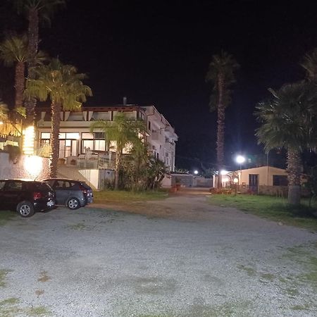 Bed and Breakfast Palm House Ламеция-Терме Экстерьер фото