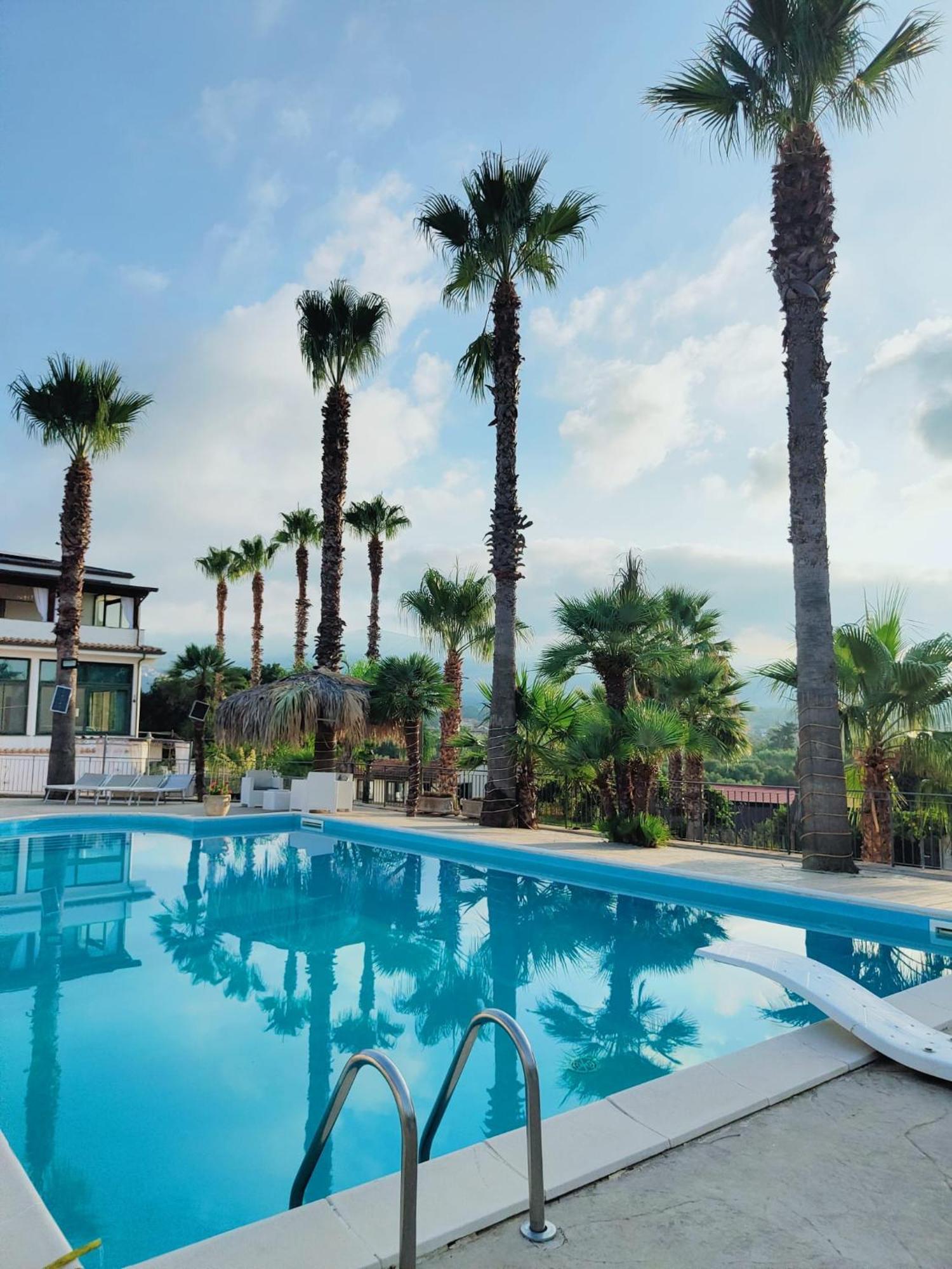 Bed and Breakfast Palm House Ламеция-Терме Экстерьер фото
